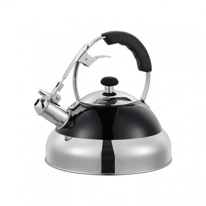 ZH-K027 Stainless Steel Kettle