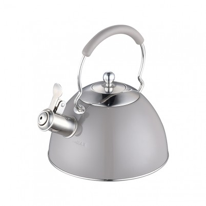 ZH-K021 Stainless Steel Kettle