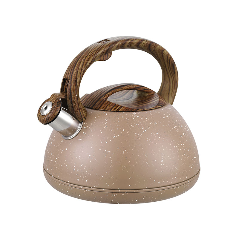 ZH-K055 Stainless Steel Kettle